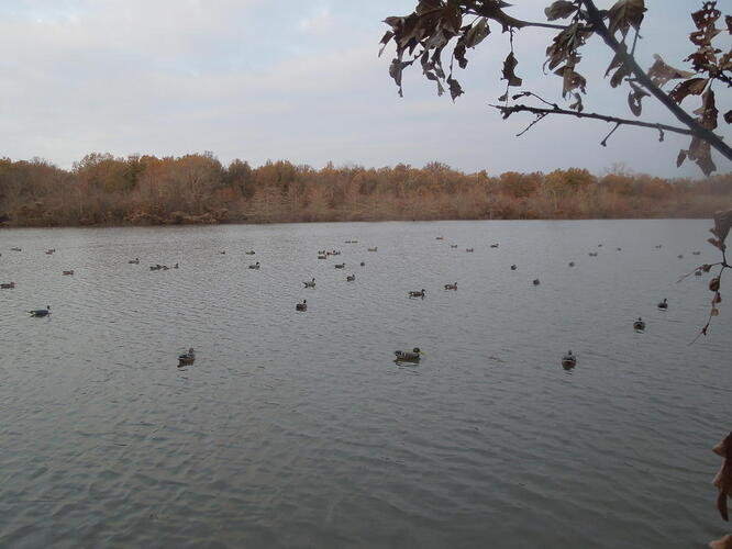 DSCN2309.jpg