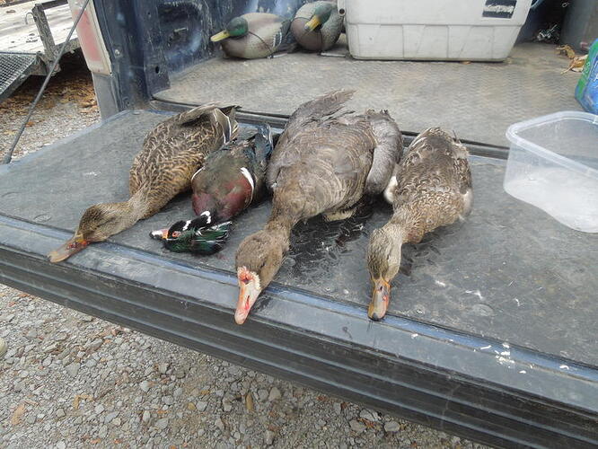 DSCN2338.jpg