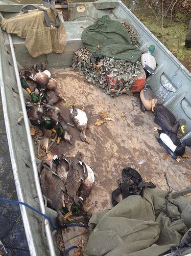 barpit ducks.jpg